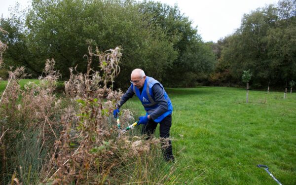 Nupjautas krūmas vėl atželia? Virtuvėje turimos priemonės padės juos sunaikinti visam laikui