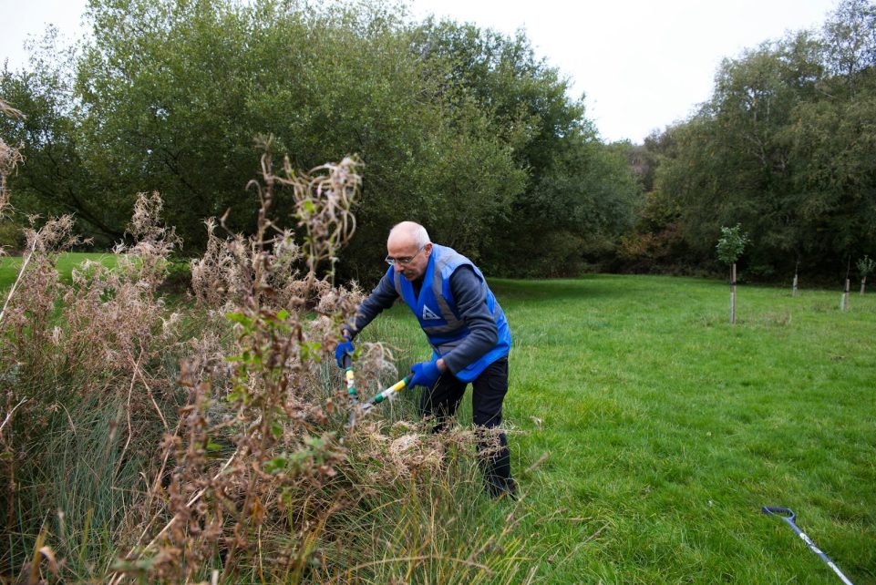 Man trimming tall grass and reeds in park.