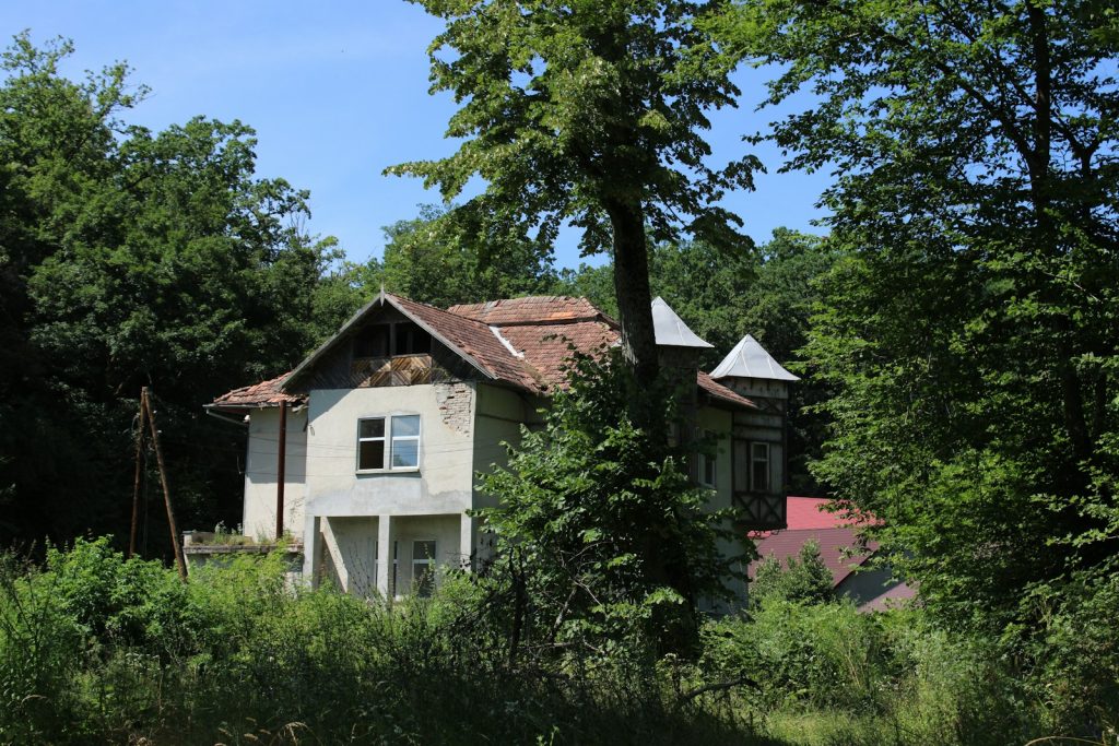 a run down house in the middle of a forest