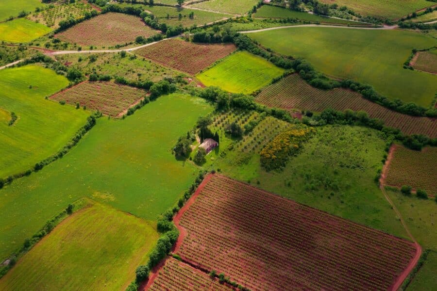 Viena klaida prašyme dėl valstybinės žemės nuomos gali kainuoti visą sklypą