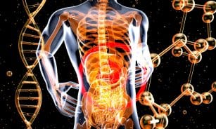 a 3d image of the human body and the structure of the body