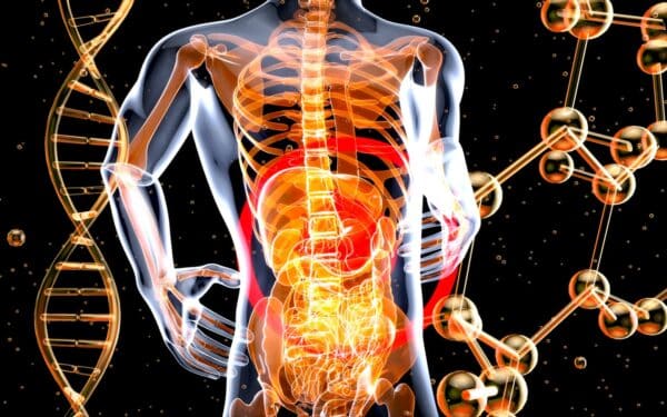 Alzheimerio liga perduodama per bakterijas? Sužinokite, ką atskleidė naujausi tyrimai su mikrobiota