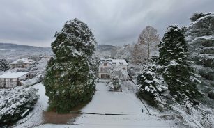 a snow covered yard with trees and houses in the background