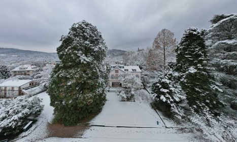 a snow covered yard with trees and houses in the background