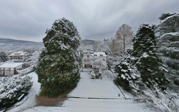 Sodas bunda: sužinokite, kokius 3 svarbiausius darbus privalote atlikti dar vasarį