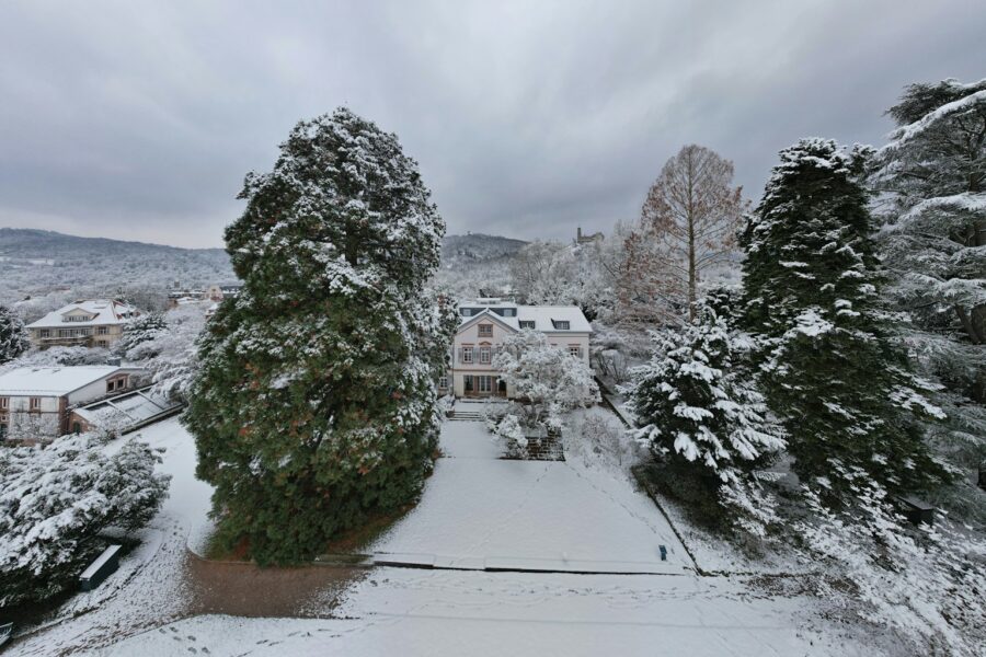 a snow covered yard with trees and houses in the background