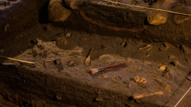 Mokslas įminė 12 tūkstančių metų mįslę: ledynmečio palaikuose aptikta reta genetinė liga