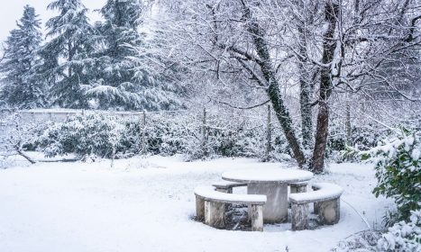 a snow covered park bench sitting in the middle of a forest