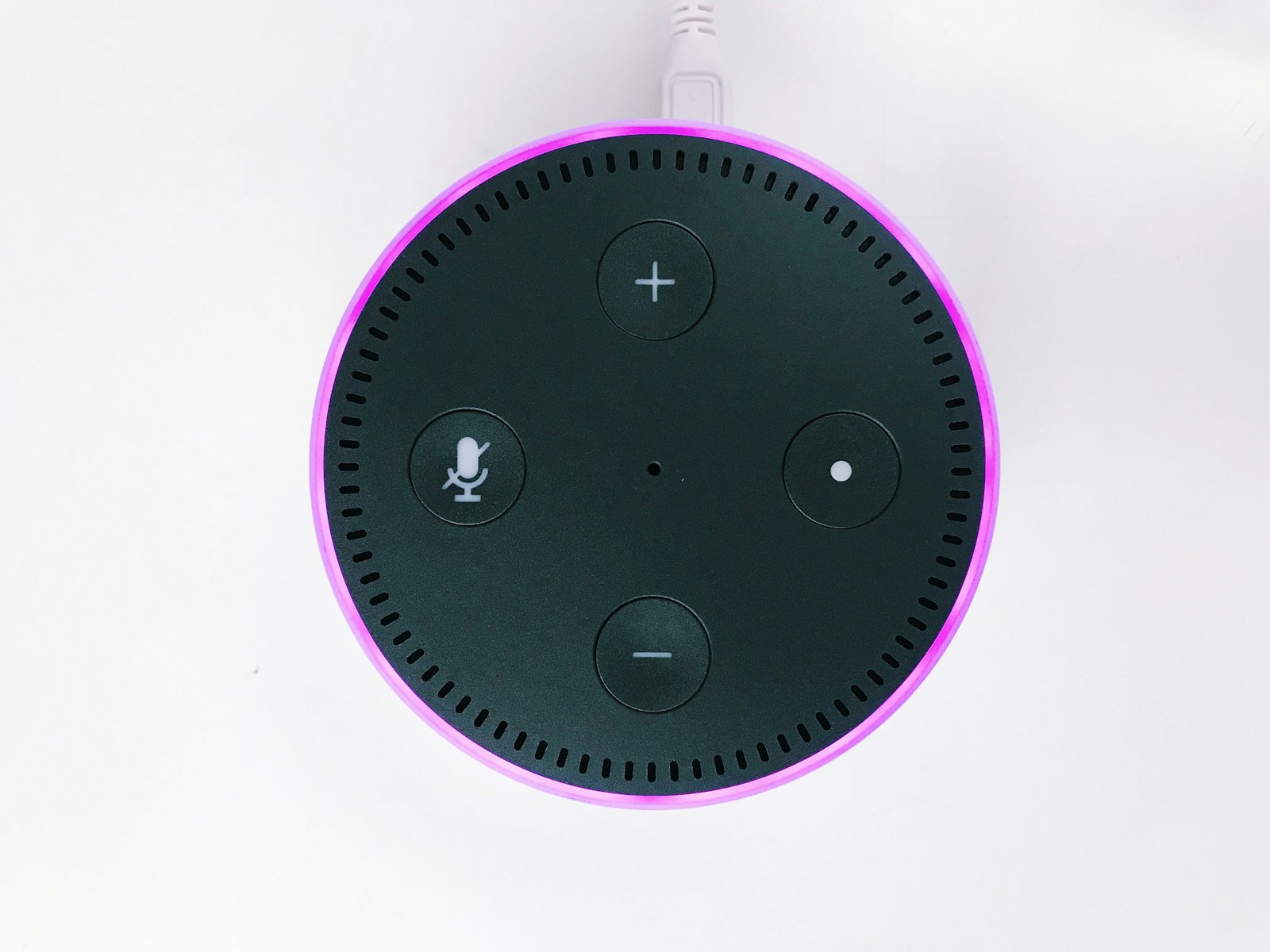 Vakarienė be vieno prisilietimo: „Alexa+“ išmoko užsakyti maistą tiesiog pasikalbėjus