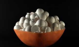 white egg on orange bowl