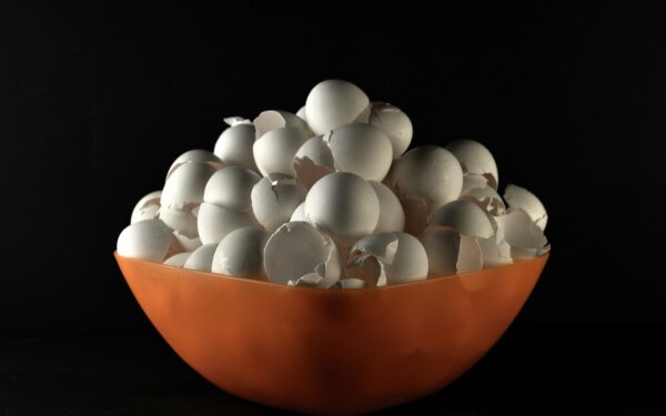 Šliužai niokoja derlių? Paprastas būdas su kiaušinių lukštais išgelbės jūsų kopūstus