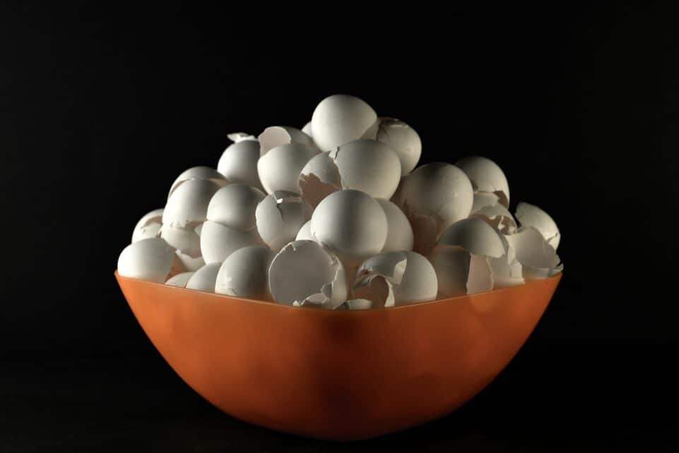 white egg on orange bowl