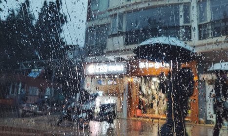 people holding umbrella