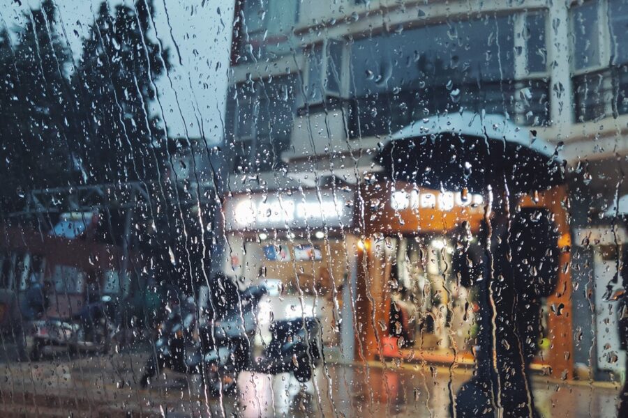 people holding umbrella
