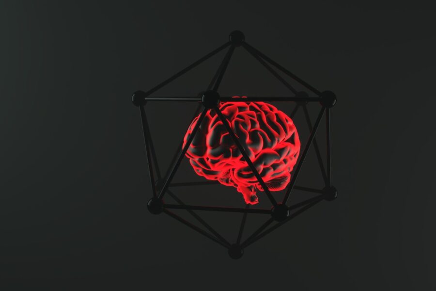 Smegenų implantai. Unsplash nuotr.