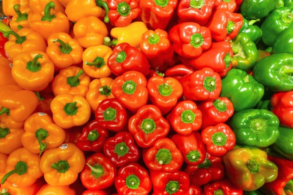 orange bell peppers on white ceramic plate
