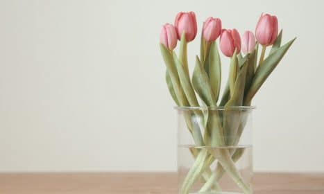 pink tulips on brown wooden table