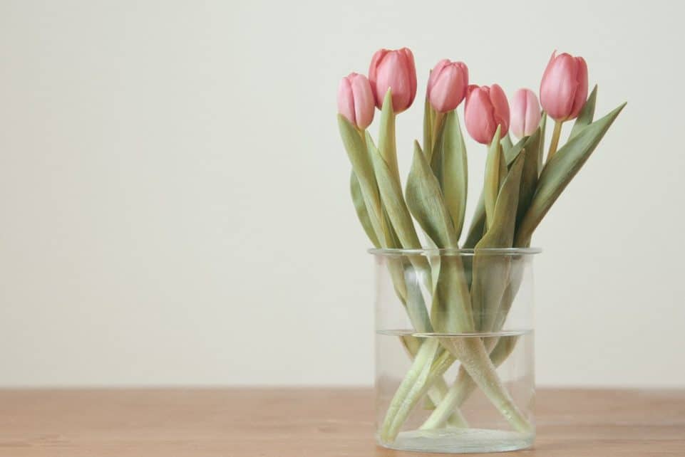 pink tulips on brown wooden table