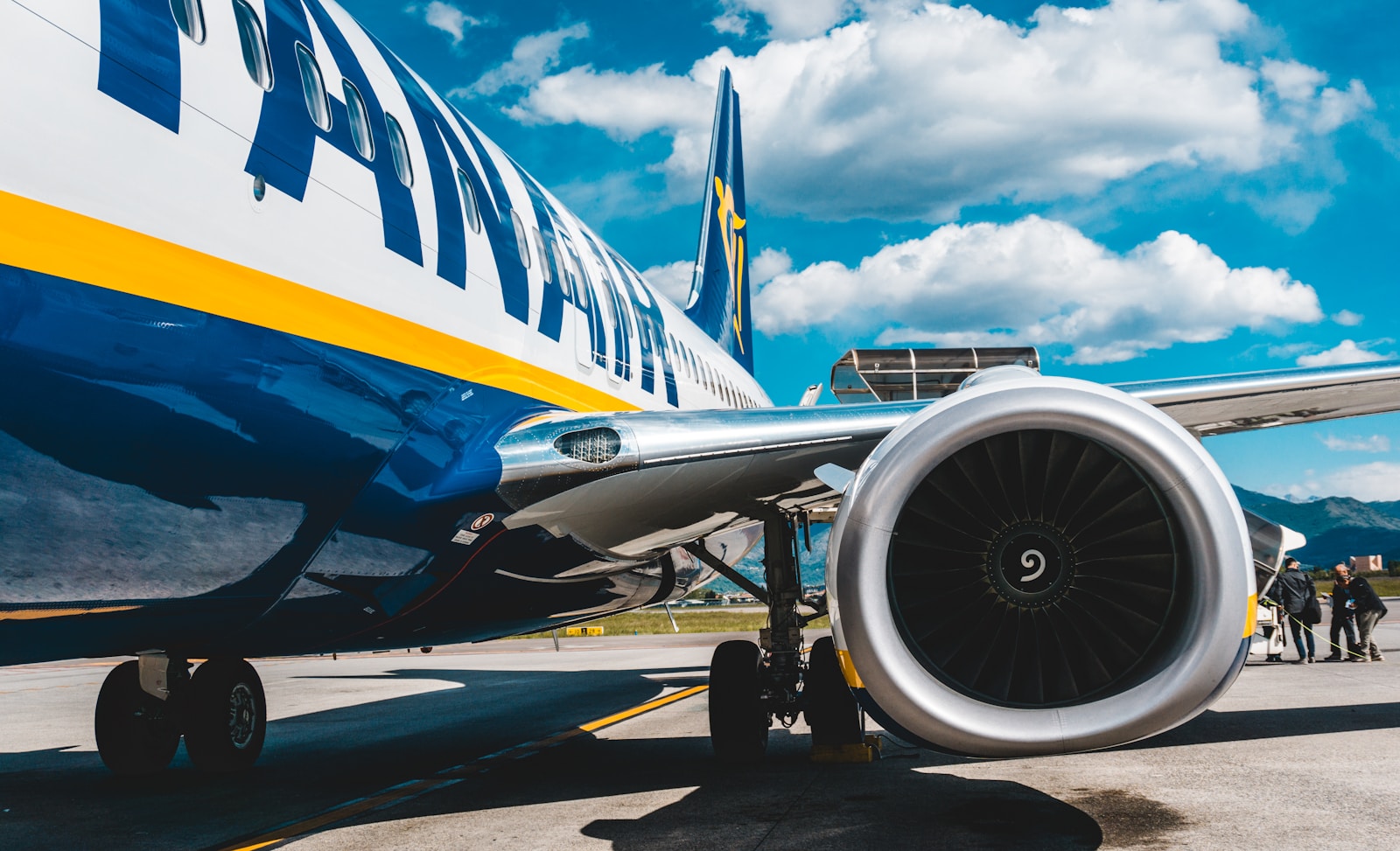 Ryanair pasišaipė iš Elono Musko: skandalinga „išpardavimo kvailiams“ reklama šokiruoja internetu