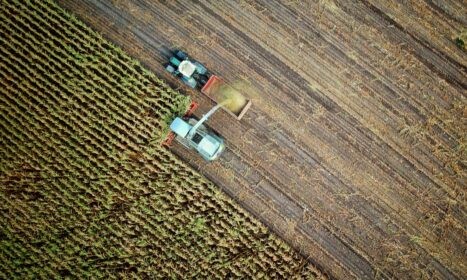 two trucks on plant field