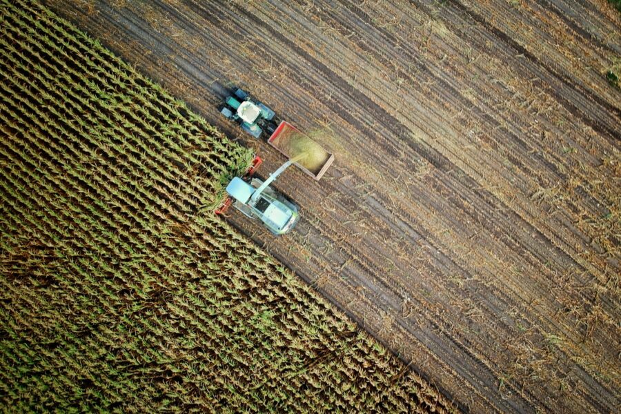 two trucks on plant field