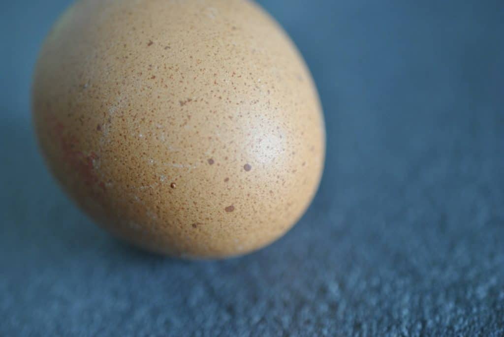 A brown speckled egg rests on a blue surface.