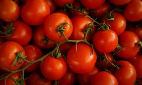 red cherry tomatoes