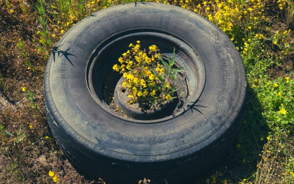 Nemokamas filmas bibliotekoje: žmonijos pėdsakai Žemėje kelia šiurpą