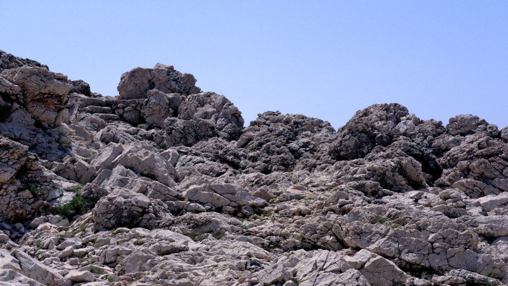 a mountain with rocks and plants growing out of it