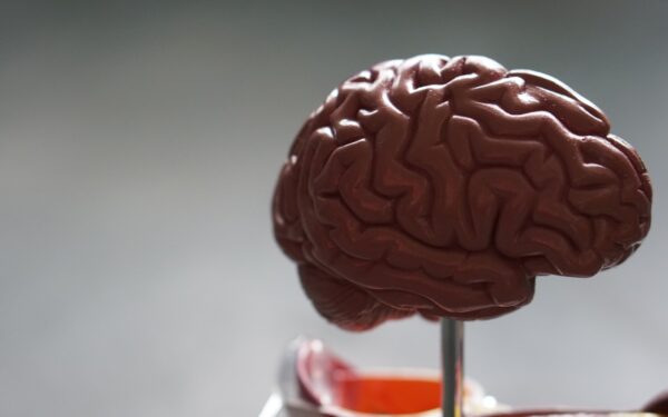 Nauja viltis kovoje su Alzheimerio liga: eksperimentas su pelėmis davė stulbinančių rezultatų