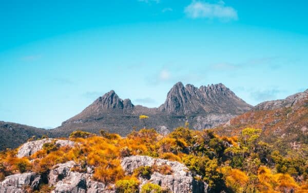 Dirbtinis intelektas apgavo tūkstančius: minios plūsta į Tasmaniją ieškoti neegzistuojančių stebuklų