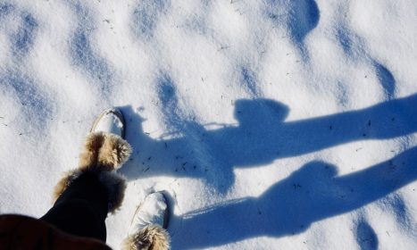 a shadow of a person standing in the snow