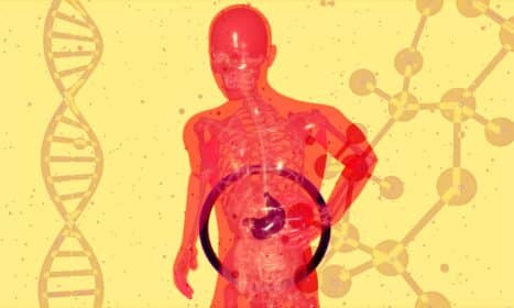 a picture of a human body with a diagram of the human body