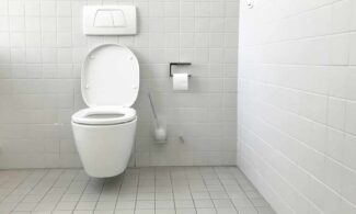 white toilet bowl with cistern