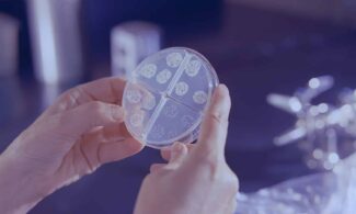 a person holding a round object in their hands