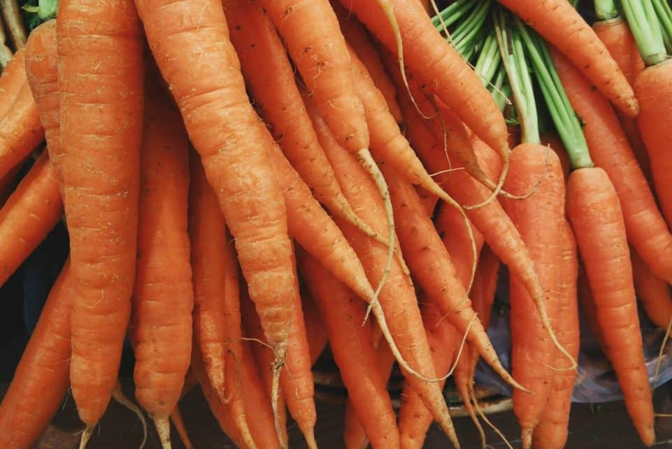 closeup photo of bunch of orange carrots