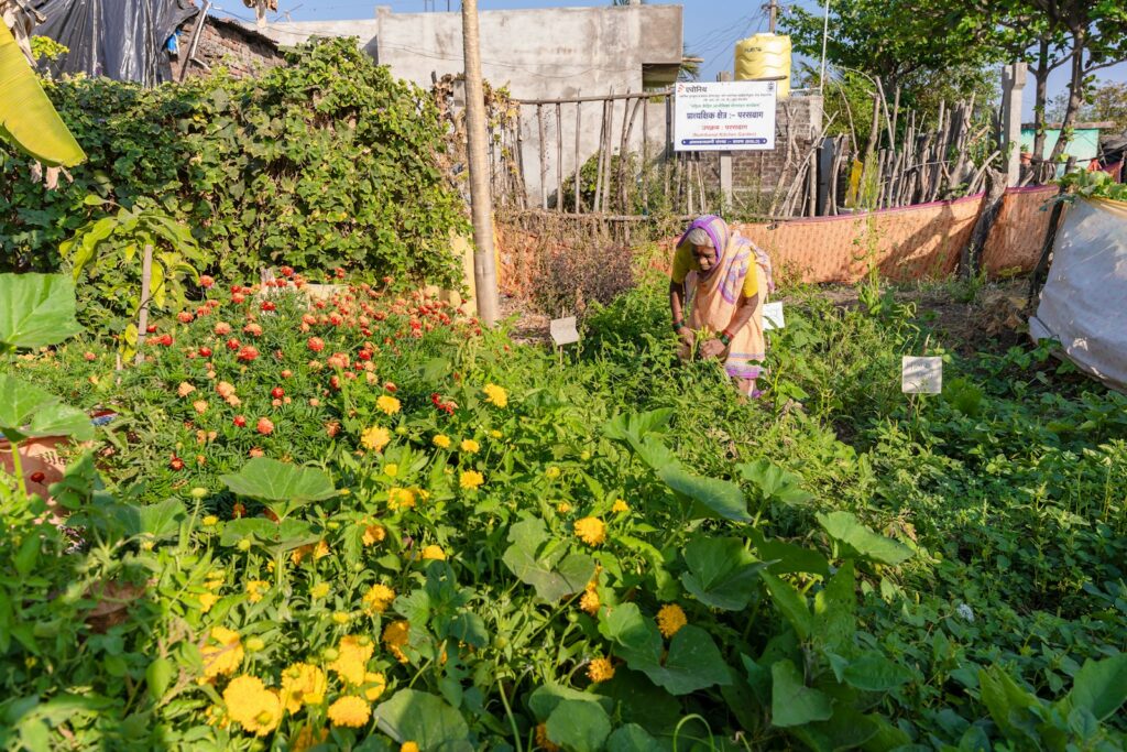 a woman tending to a garden with lots of flowers