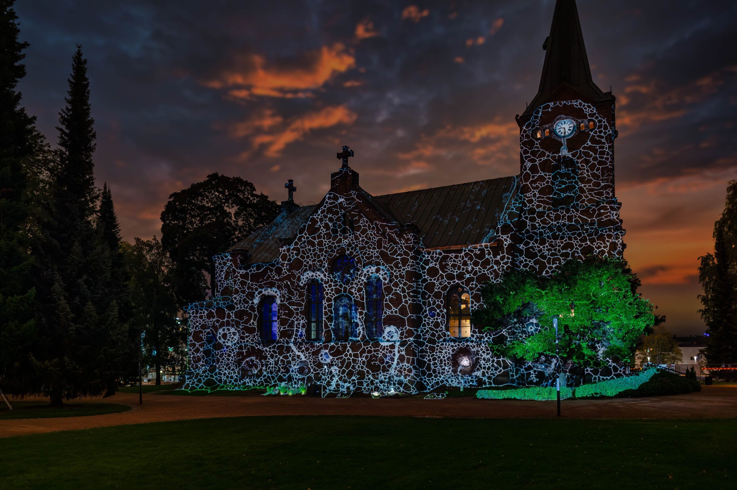 Physarum © Rami Saarikorpi