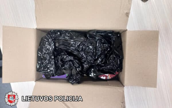 Klaipėdoje siunta iš užsienio atvedė į teisėsaugos akiratį: sulaikytas nepilnametis