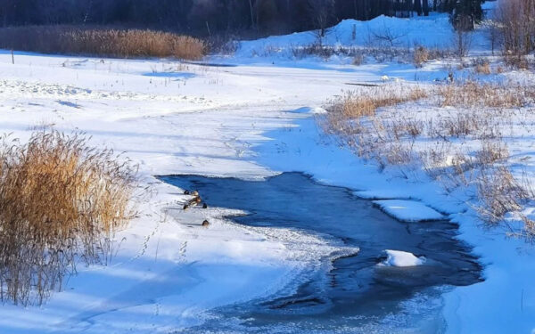 Artėja sniego tirpimas: Klaipėdos rajone ruošiamasi potvyniui, ar jūsų namai rizikos zonoje?