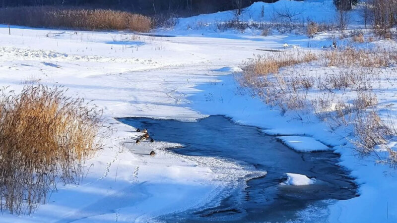Artėja sniego tirpimas: Klaipėdos rajone ruošiamasi potvyniui, ar jūsų namai rizikos zonoje?