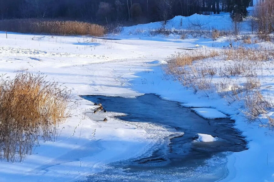 Įspėjimas regionams: potvynių žemėlapis parodys ar esate rizikos zonoje, pasitikrinkite