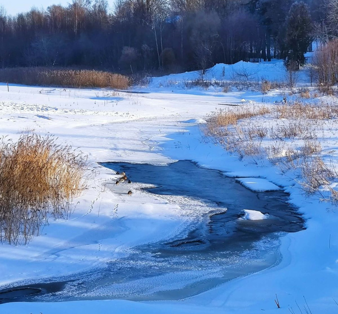 Artėja sniego tirpimas: Klaipėdos rajone ruošiamasi potvyniui, ar jūsų namai rizikos zonoje?