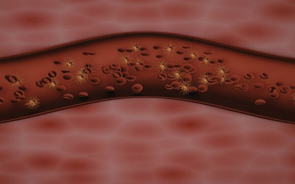 Rezultatai jau po kelių savaičių: ši natūrali medžiaga padeda reikšmingai sumažinti cholesterolį