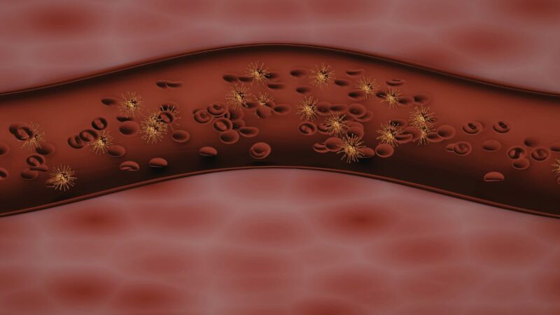 Rezultatai jau po kelių savaičių: ši natūrali medžiaga padeda reikšmingai sumažinti cholesterolį