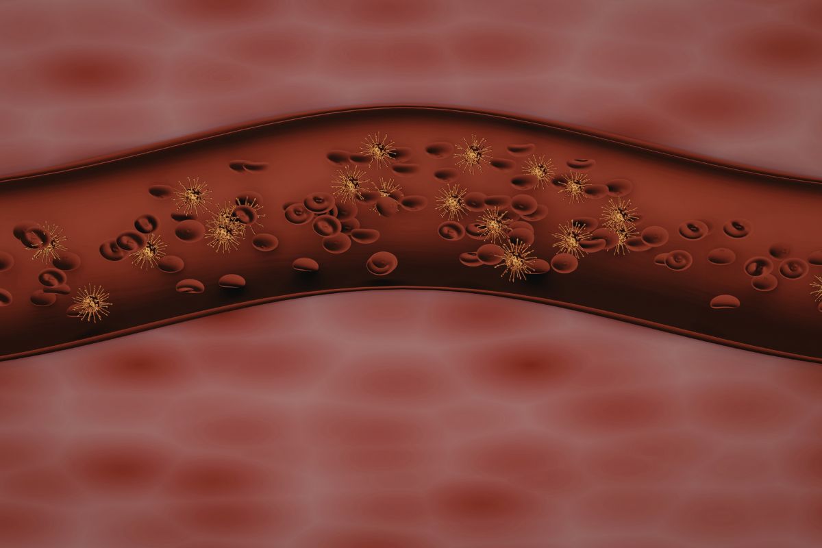 Rezultatai jau po kelių savaičių: ši natūrali medžiaga padeda reikšmingai sumažinti cholesterolį