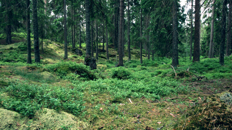 Laiko liko kritiškai mažai: liksite be pinigų, jei nesuskubsite per artimiausias dienas