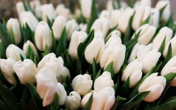 Suklusti turėtų visi Jonavos gyventojai: kviečiama išrinkti Metų jonavietę