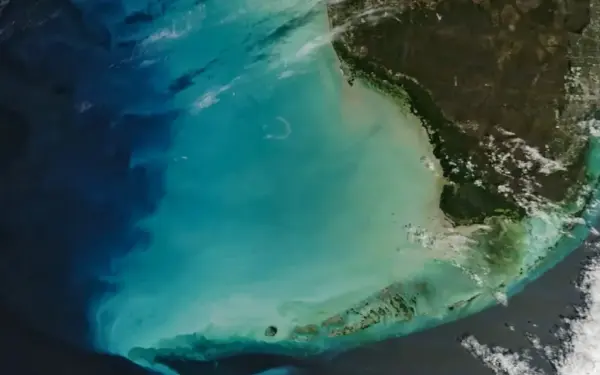 Meksikos įlanka nusidažė neonine žalia: „NASA“ atskleidė, koks reiškinys pakeitė vandens spalvą