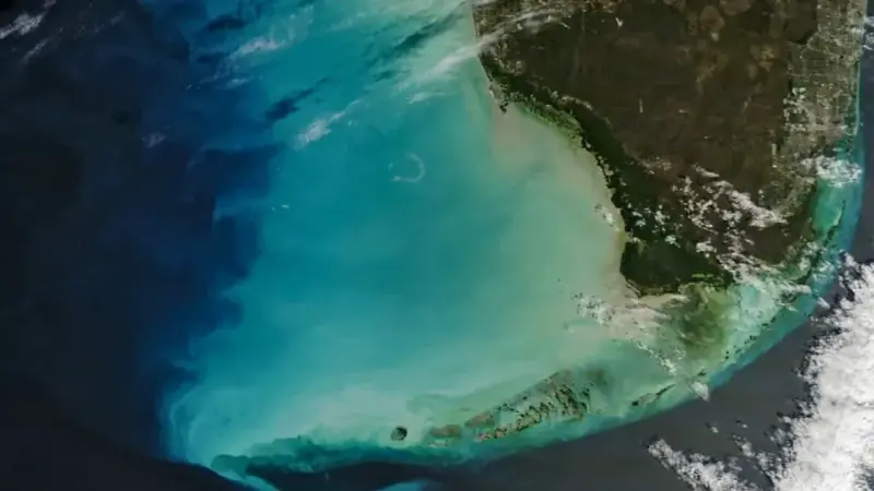 Meksikos įlanka nusidažė neonine žalia: „NASA“ atskleidė, koks reiškinys pakeitė vandens spalvą